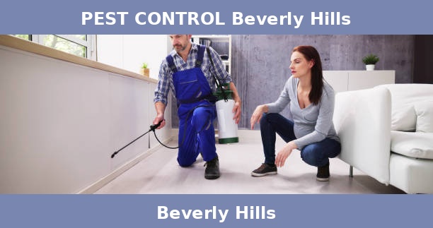 PEST CONTROL Beverly Hills